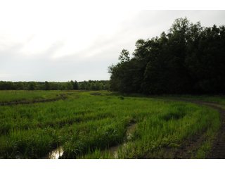 Farmland in Pulaski County, Arkansas - ABSOLUTE ARKANSAS REAL ESTATE AUCTION - 1,200+/- ACRES OFFERED IN 6 TRACTS IN PULASKI COUNTY, ARKANSAS