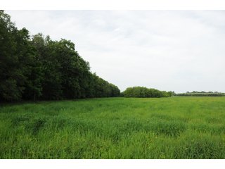 Farmland in Pulaski County, Arkansas - ABSOLUTE ARKANSAS REAL ESTATE AUCTION - 1,200+/- ACRES OFFERED IN 6 TRACTS IN PULASKI COUNTY, ARKANSAS