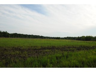 Farmland in Pulaski County, Arkansas - ABSOLUTE ARKANSAS REAL ESTATE AUCTION - 1,200+/- ACRES OFFERED IN 6 TRACTS IN PULASKI COUNTY, ARKANSAS