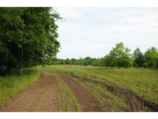 Farmland in Pulaski County, Arkansas - ABSOLUTE ARKANSAS REAL ESTATE AUCTION - 1,200+/- ACRES OFFERED IN 6 TRACTS IN PULASKI COUNTY, ARKANSAS