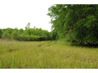 Farmland in Pulaski County, Arkansas - ABSOLUTE ARKANSAS REAL ESTATE AUCTION - 1,200+/- ACRES OFFERED IN 6 TRACTS IN PULASKI COUNTY, ARKANSAS