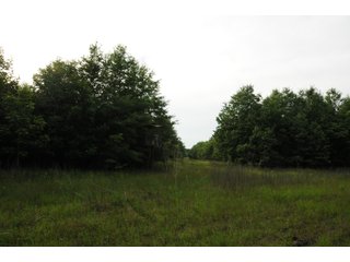 Farmland in Pulaski County, Arkansas - ABSOLUTE ARKANSAS REAL ESTATE AUCTION - 1,200+/- ACRES OFFERED IN 6 TRACTS IN PULASKI COUNTY, ARKANSAS