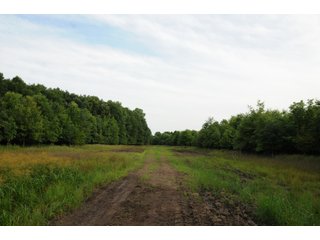 Farmland in Pulaski County, Arkansas - ABSOLUTE ARKANSAS REAL ESTATE AUCTION - 1,200+/- ACRES OFFERED IN 6 TRACTS IN PULASKI COUNTY, ARKANSAS