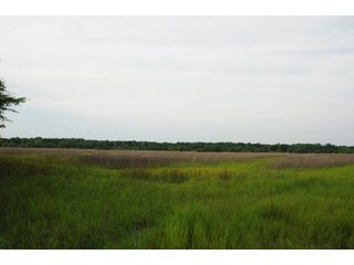Farmland in Pulaski County, Arkansas - ABSOLUTE ARKANSAS REAL ESTATE AUCTION - 1,200+/- ACRES OFFERED IN 6 TRACTS IN PULASKI COUNTY, ARKANSAS
