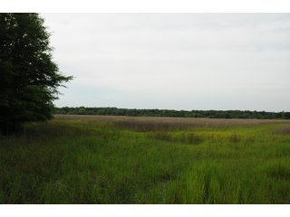Farmland in Pulaski County, Arkansas - ABSOLUTE ARKANSAS REAL ESTATE AUCTION - 1,200+/- ACRES OFFERED IN 6 TRACTS IN PULASKI COUNTY, ARKANSAS