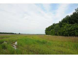 Farmland in Pulaski County, Arkansas - ABSOLUTE ARKANSAS REAL ESTATE AUCTION - 1,200+/- ACRES OFFERED IN 6 TRACTS IN PULASKI COUNTY, ARKANSAS