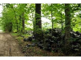Farmland in Pulaski County, Arkansas - ABSOLUTE ARKANSAS REAL ESTATE AUCTION - 1,200+/- ACRES OFFERED IN 6 TRACTS IN PULASKI COUNTY, ARKANSAS