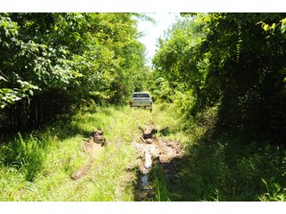 Farmland in Pulaski County, Arkansas - ABSOLUTE ARKANSAS REAL ESTATE AUCTION - 1,200+/- ACRES OFFERED IN 6 TRACTS IN PULASKI COUNTY, ARKANSAS