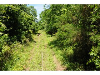 Farmland in Pulaski County, Arkansas - ABSOLUTE ARKANSAS REAL ESTATE AUCTION - 1,200+/- ACRES OFFERED IN 6 TRACTS IN PULASKI COUNTY, ARKANSAS