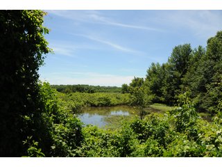 Pond on Farmland in Pulaski County, Arkansas - ABSOLUTE ARKANSAS REAL ESTATE AUCTION - 1,200+/- ACRES OFFERED IN 6 TRACTS IN PULASKI COUNTY, ARKANSAS