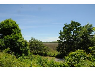 Farmland in Pulaski County, Arkansas - ABSOLUTE ARKANSAS REAL ESTATE AUCTION - 1,200+/- ACRES OFFERED IN 6 TRACTS IN PULASKI COUNTY, ARKANSAS