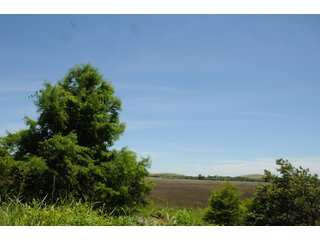 Farmland in Pulaski County, Arkansas - ABSOLUTE ARKANSAS REAL ESTATE AUCTION - 1,200+/- ACRES OFFERED IN 6 TRACTS IN PULASKI COUNTY, ARKANSAS