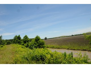 Farmland in Pulaski County, Arkansas - ABSOLUTE ARKANSAS REAL ESTATE AUCTION - 1,200+/- ACRES OFFERED IN 6 TRACTS IN PULASKI COUNTY, ARKANSAS
