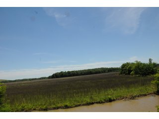 Farmland in Pulaski County, Arkansas - ABSOLUTE ARKANSAS REAL ESTATE AUCTION - 1,200+/- ACRES OFFERED IN 6 TRACTS IN PULASKI COUNTY, ARKANSAS