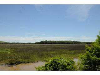 Farmland in Pulaski County, Arkansas - ABSOLUTE ARKANSAS REAL ESTATE AUCTION - 1,200+/- ACRES OFFERED IN 6 TRACTS IN PULASKI COUNTY, ARKANSAS