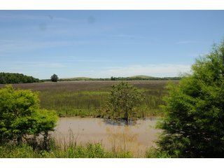 Farmland in Pulaski County, Arkansas - ABSOLUTE ARKANSAS REAL ESTATE AUCTION - 1,200+/- ACRES OFFERED IN 6 TRACTS IN PULASKI COUNTY, ARKANSAS