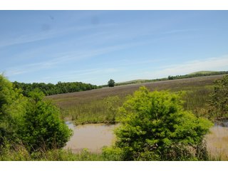 Farmland in Pulaski County, Arkansas - ABSOLUTE ARKANSAS REAL ESTATE AUCTION - 1,200+/- ACRES OFFERED IN 6 TRACTS IN PULASKI COUNTY, ARKANSAS