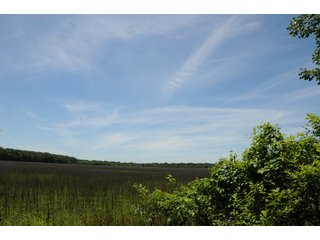 Farmland in Pulaski County, Arkansas - ABSOLUTE ARKANSAS REAL ESTATE AUCTION - 1,200+/- ACRES OFFERED IN 6 TRACTS IN PULASKI COUNTY, ARKANSAS