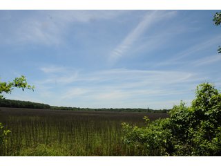 Farmland in Pulaski County, Arkansas - ABSOLUTE ARKANSAS REAL ESTATE AUCTION - 1,200+/- ACRES OFFERED IN 6 TRACTS IN PULASKI COUNTY, ARKANSAS