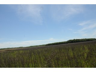 Farmland in Pulaski County, Arkansas - ABSOLUTE ARKANSAS REAL ESTATE AUCTION - 1,200+/- ACRES OFFERED IN 6 TRACTS IN PULASKI COUNTY, ARKANSAS