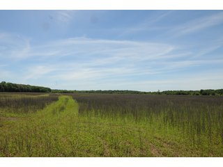Farmland in Pulaski County, Arkansas - ABSOLUTE ARKANSAS REAL ESTATE AUCTION - 1,200+/- ACRES OFFERED IN 6 TRACTS IN PULASKI COUNTY, ARKANSAS