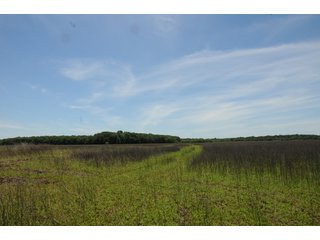 Farmland in Pulaski County, Arkansas - ABSOLUTE ARKANSAS REAL ESTATE AUCTION - 1,200+/- ACRES OFFERED IN 6 TRACTS IN PULASKI COUNTY, ARKANSAS