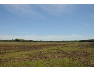 Farmland in Pulaski County, Arkansas - ABSOLUTE ARKANSAS REAL ESTATE AUCTION - 1,200+/- ACRES OFFERED IN 6 TRACTS IN PULASKI COUNTY, ARKANSAS