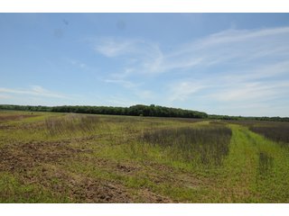 Farmland in Pulaski County, Arkansas - ABSOLUTE ARKANSAS REAL ESTATE AUCTION - 1,200+/- ACRES OFFERED IN 6 TRACTS IN PULASKI COUNTY, ARKANSAS