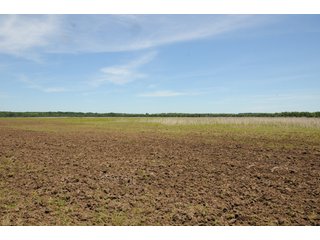Farmland in Pulaski County, Arkansas - ABSOLUTE ARKANSAS REAL ESTATE AUCTION - 1,200+/- ACRES OFFERED IN 6 TRACTS IN PULASKI COUNTY, ARKANSAS