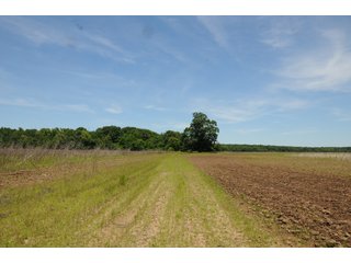Farmland in Pulaski County, Arkansas - ABSOLUTE ARKANSAS REAL ESTATE AUCTION - 1,200+/- ACRES OFFERED IN 6 TRACTS IN PULASKI COUNTY, ARKANSAS