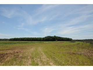 Farmland in Pulaski County, Arkansas - ABSOLUTE ARKANSAS REAL ESTATE AUCTION - 1,200+/- ACRES OFFERED IN 6 TRACTS IN PULASKI COUNTY, ARKANSAS