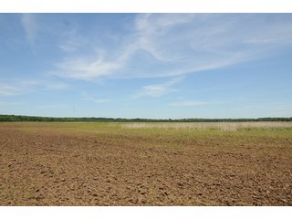 Farmland in Pulaski County, Arkansas - ABSOLUTE ARKANSAS REAL ESTATE AUCTION - 1,200+/- ACRES OFFERED IN 6 TRACTS IN PULASKI COUNTY, ARKANSAS