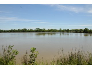 Pond on Farmland in Pulaski County, Arkansas - ABSOLUTE ARKANSAS REAL ESTATE AUCTION - 1,200+/- ACRES OFFERED IN 6 TRACTS IN PULASKI COUNTY, ARKANSAS