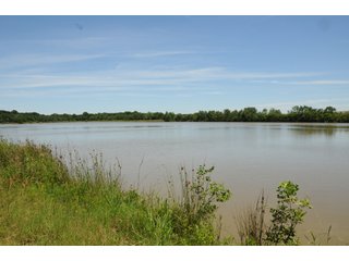 Pond on Farmland in Pulaski County, Arkansas - ABSOLUTE ARKANSAS REAL ESTATE AUCTION - 1,200+/- ACRES OFFERED IN 6 TRACTS IN PULASKI COUNTY, ARKANSAS
