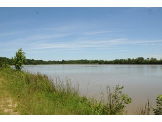 Pond on Farmland in Pulaski County, Arkansas - ABSOLUTE ARKANSAS REAL ESTATE AUCTION - 1,200+/- ACRES OFFERED IN 6 TRACTS IN PULASKI COUNTY, ARKANSAS