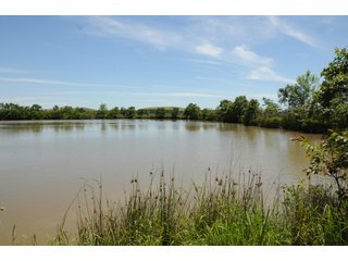 Pond on Farmland in Pulaski County, Arkansas - ABSOLUTE ARKANSAS REAL ESTATE AUCTION - 1,200+/- ACRES OFFERED IN 6 TRACTS IN PULASKI COUNTY, ARKANSAS