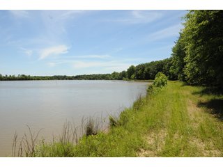 Pond on Farmland in Pulaski County, Arkansas - ABSOLUTE ARKANSAS REAL ESTATE AUCTION - 1,200+/- ACRES OFFERED IN 6 TRACTS IN PULASKI COUNTY, ARKANSAS