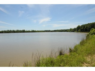 Pond on Farmland in Pulaski County, Arkansas - ABSOLUTE ARKANSAS REAL ESTATE AUCTION - 1,200+/- ACRES OFFERED IN 6 TRACTS IN PULASKI COUNTY, ARKANSAS