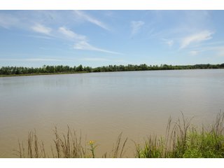Pond on Farmland in Pulaski County, Arkansas - ABSOLUTE ARKANSAS REAL ESTATE AUCTION - 1,200+/- ACRES OFFERED IN 6 TRACTS IN PULASKI COUNTY, ARKANSAS