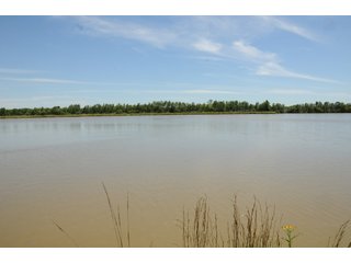 Pond on Farmland in Pulaski County, Arkansas - ABSOLUTE ARKANSAS REAL ESTATE AUCTION - 1,200+/- ACRES OFFERED IN 6 TRACTS IN PULASKI COUNTY, ARKANSAS