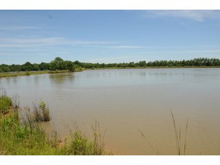 Pond on Farmland in Pulaski County, Arkansas - ABSOLUTE ARKANSAS REAL ESTATE AUCTION - 1,200+/- ACRES OFFERED IN 6 TRACTS IN PULASKI COUNTY, ARKANSAS