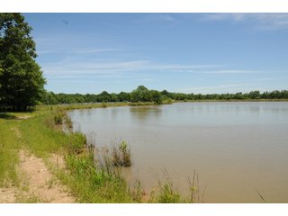 Pond on Farmland in Pulaski County, Arkansas - ABSOLUTE ARKANSAS REAL ESTATE AUCTION - 1,200+/- ACRES OFFERED IN 6 TRACTS IN PULASKI COUNTY, ARKANSAS