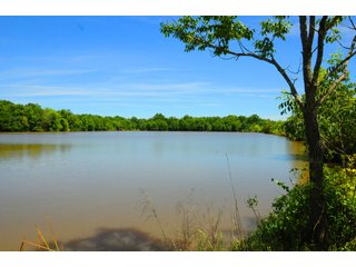Pond on Farmland in Pulaski County, Arkansas - ABSOLUTE ARKANSAS REAL ESTATE AUCTION - 1,200+/- ACRES OFFERED IN 6 TRACTS IN PULASKI COUNTY, ARKANSAS