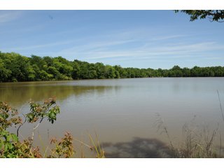 Pond on Farmland in Pulaski County, Arkansas - ABSOLUTE ARKANSAS REAL ESTATE AUCTION - 1,200+/- ACRES OFFERED IN 6 TRACTS IN PULASKI COUNTY, ARKANSAS