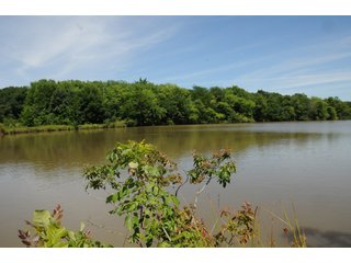 Pond on Farmland in Pulaski County, Arkansas - ABSOLUTE ARKANSAS REAL ESTATE AUCTION - 1,200+/- ACRES OFFERED IN 6 TRACTS IN PULASKI COUNTY, ARKANSAS
