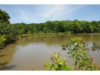 Pond on Farmland in Pulaski County, Arkansas - ABSOLUTE ARKANSAS REAL ESTATE AUCTION - 1,200+/- ACRES OFFERED IN 6 TRACTS IN PULASKI COUNTY, ARKANSAS