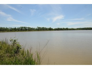 Pond on Farmland in Pulaski County, Arkansas - ABSOLUTE ARKANSAS REAL ESTATE AUCTION - 1,200+/- ACRES OFFERED IN 6 TRACTS IN PULASKI COUNTY, ARKANSAS