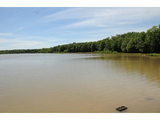 Pond on Farmland in Pulaski County, Arkansas - ABSOLUTE ARKANSAS REAL ESTATE AUCTION - 1,200+/- ACRES OFFERED IN 6 TRACTS IN PULASKI COUNTY, ARKANSAS