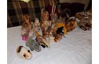 Property photo 153 - LARGE PERSONAL PROPERTY AUCTION IN ALLEN COUNTY, INDIANA