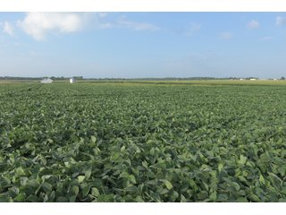 Union County, Indiana Farmland - REAL ESTATE AUCTION - 805+/- ACRES IN 11 TRACTS IN UNION COUNTY, INDIANA